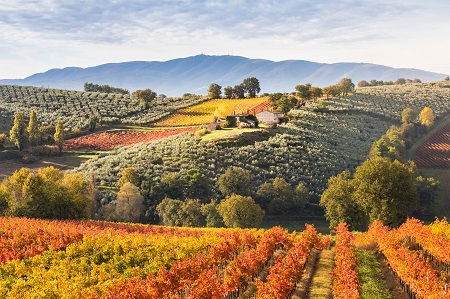 Landscape in Umbria, Italy