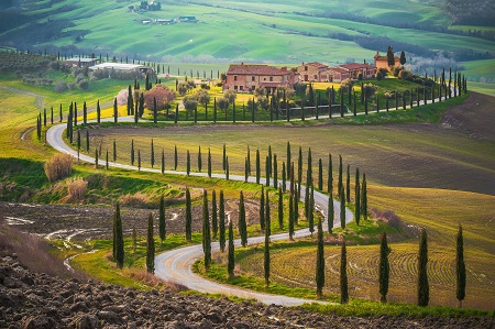 Tuscan road